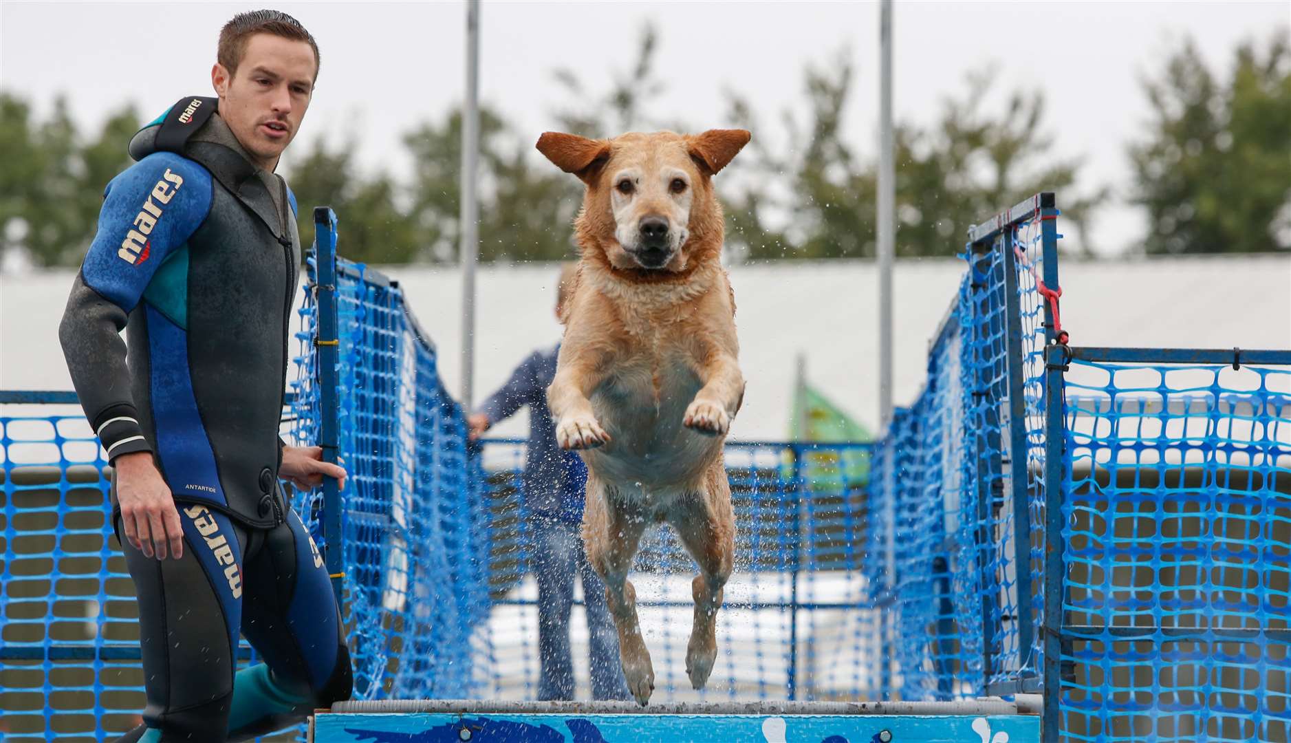 Splash out and head for Paws in the Park this weekend