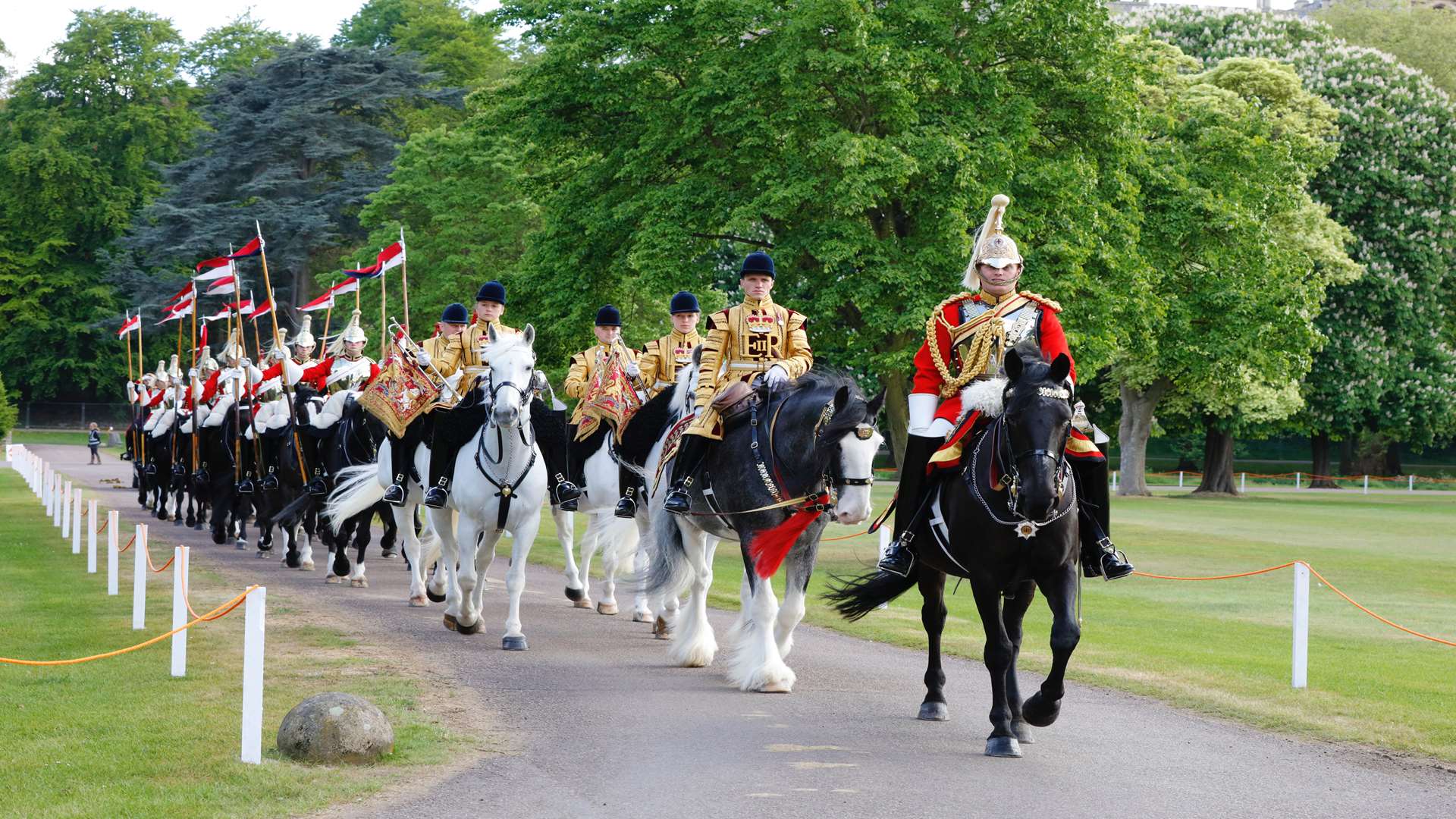 The Household Cavalry Mounted Regiment will be at the county show next summer