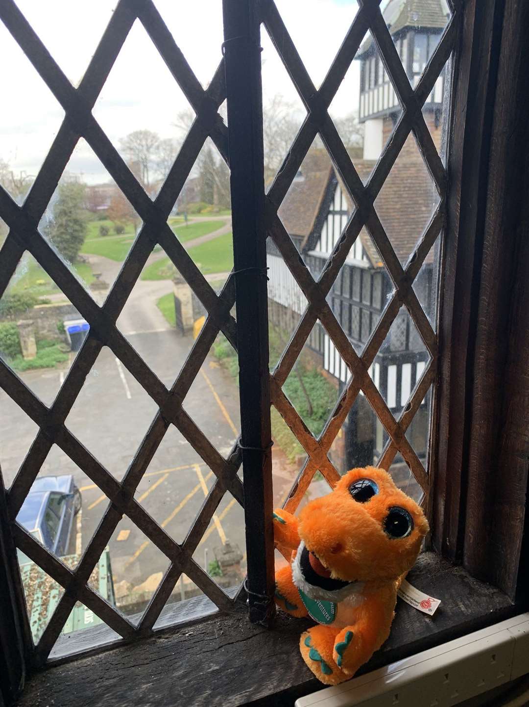 Spike's adventures have kept Maidstone Museum's followers occupied Picture: Maidstone Museum