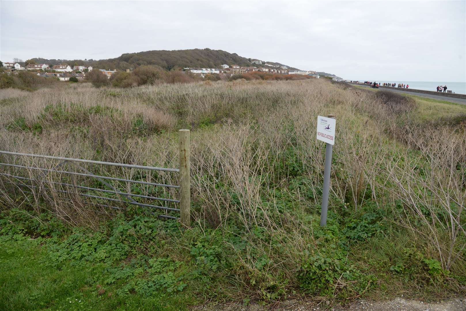 150 homes and a hotel are also proposed for the land. Picture: Chris Davey