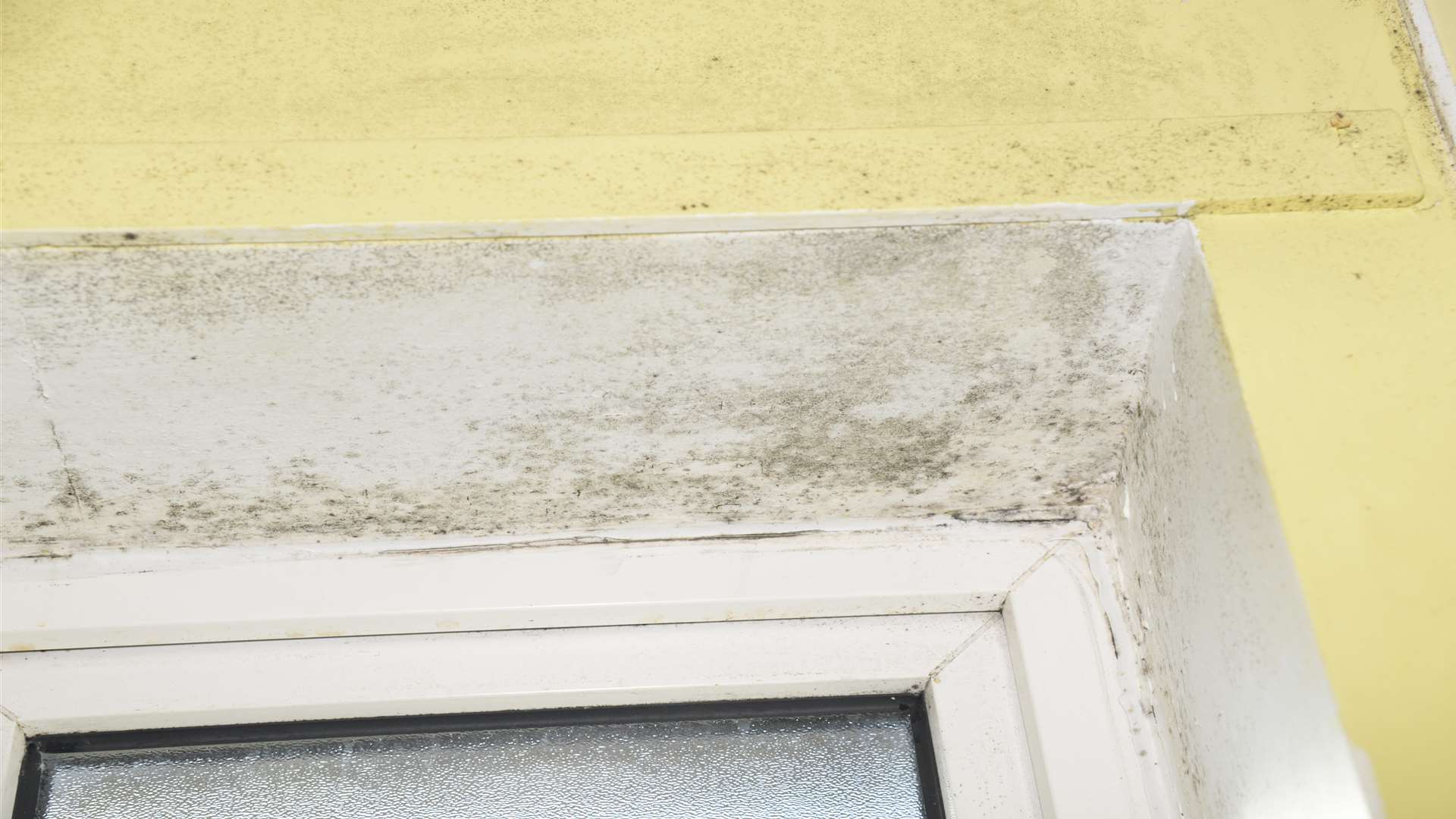 Mould around a bathroom window in Hayley's home.