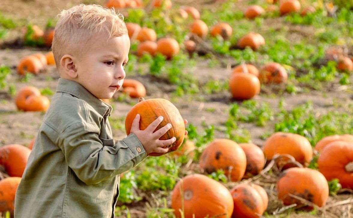 You can pick your own pumpkins and, at most farms, simply pay for what you pick. Picture: @photography.by.gizem