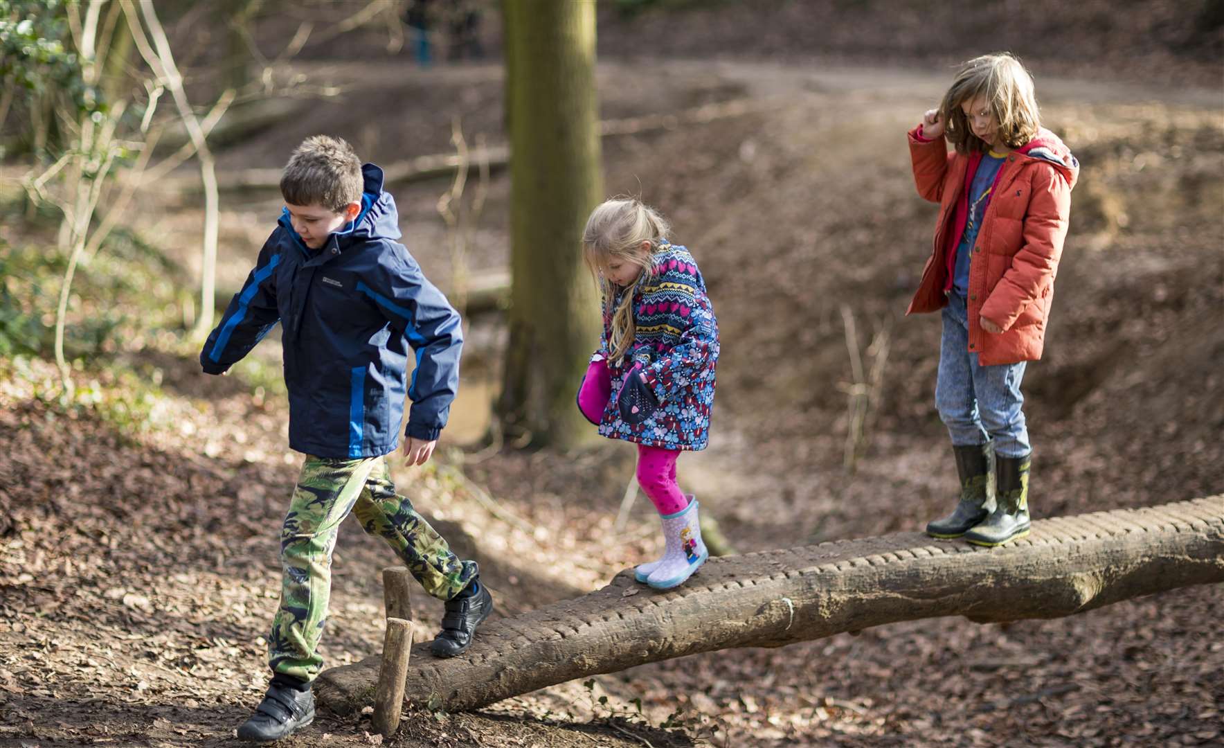 Get out and about for half term Picture: National Trust
