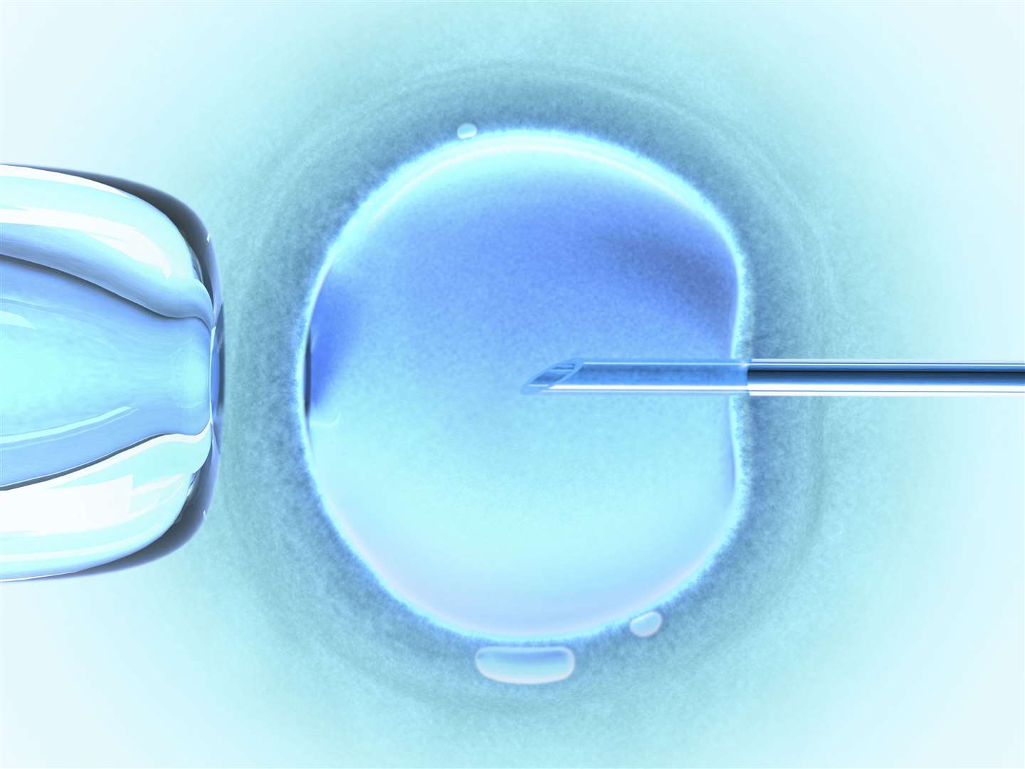 IVF treatment has been discussed by CCGs. Stock image