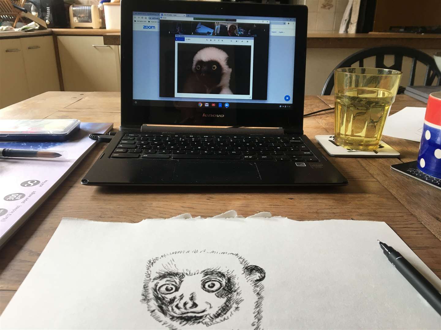 The lemur - how does it look?