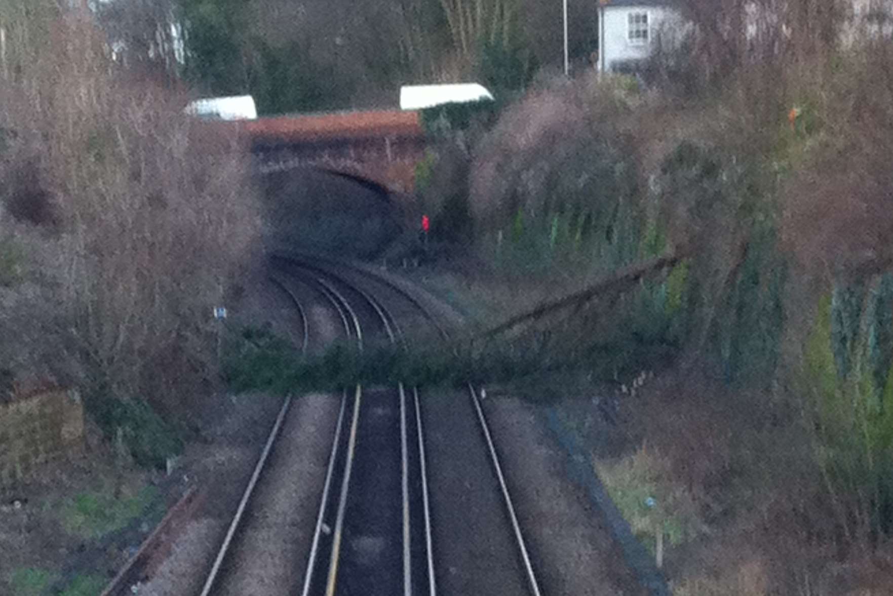 A fallen tree blocking the train line near Canterbury East. Picture: Britta Osthaus