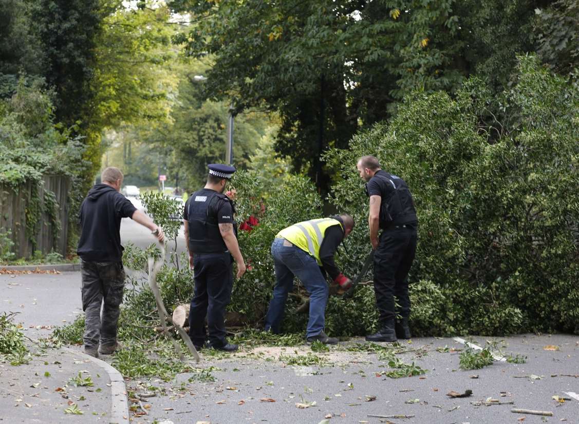 Gary Kilbey helping police clear the tree. Picture: Matthew Walker