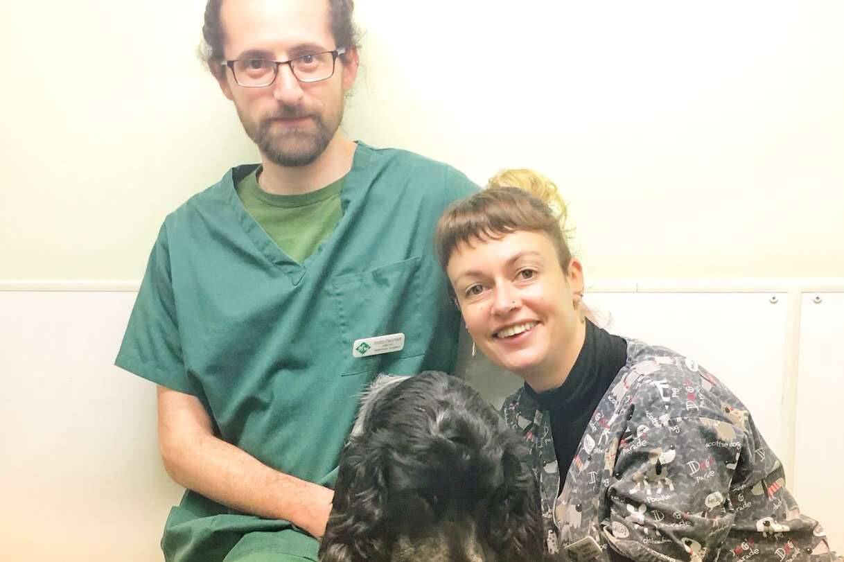 Sepecialist vets Enrcio Cecchetti and Laura Novensa saved Benji's life.