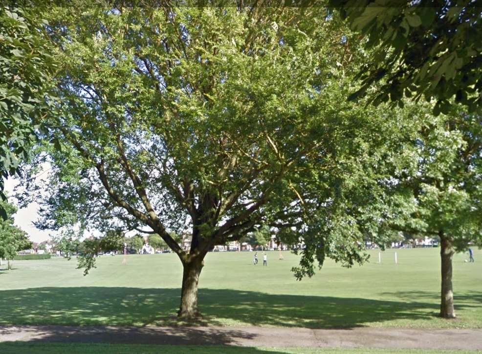 Police are investigating an alleged rape in Lower Radnor Park. Picture: Instant Street View.