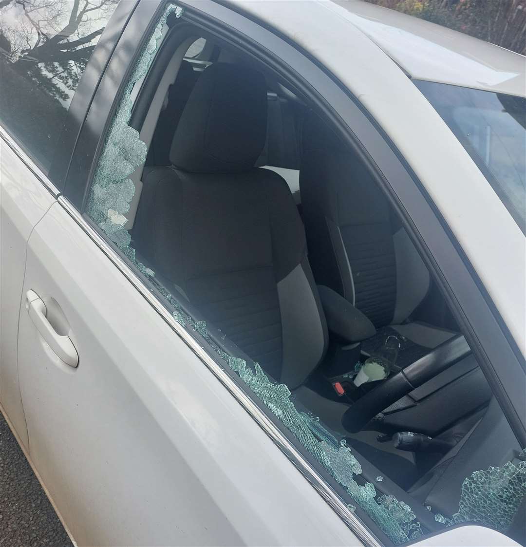 The 56-year-old woke up to find her car had been targeted by catapult vandals. Picture: Helen Blanche