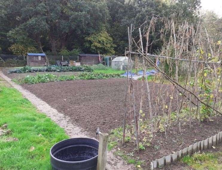 The therapy allotment