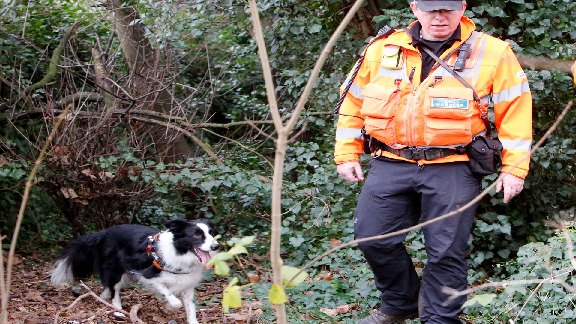 Stewart, searching with his dog. Picture: Matthew Walker