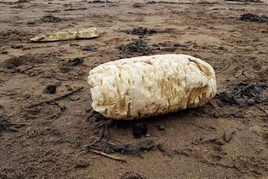 Suspected palm oil found at Stone Bay. Pic: Thanet District Council