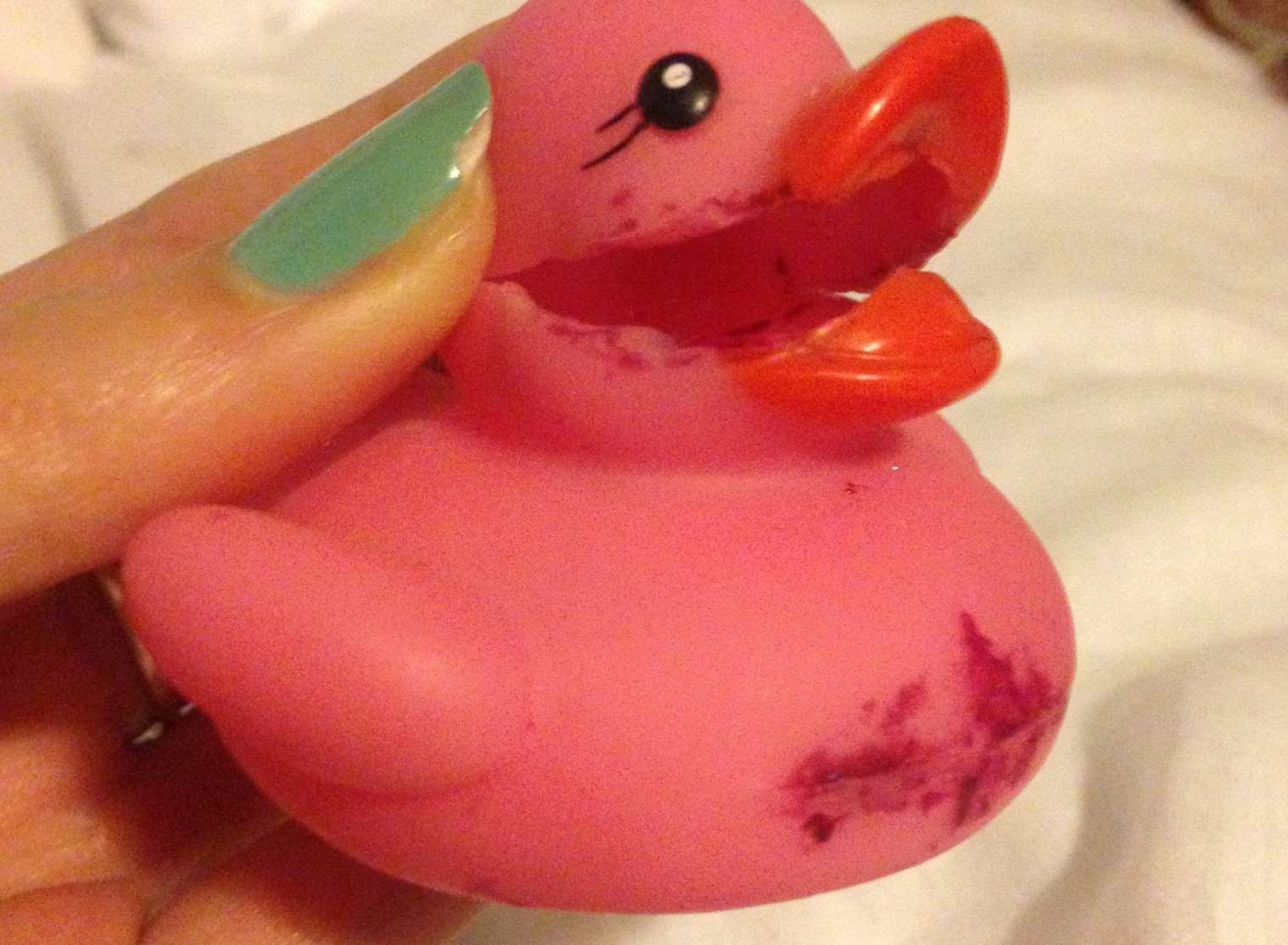 This duck looks 'mutilated'. Picture: SWNS