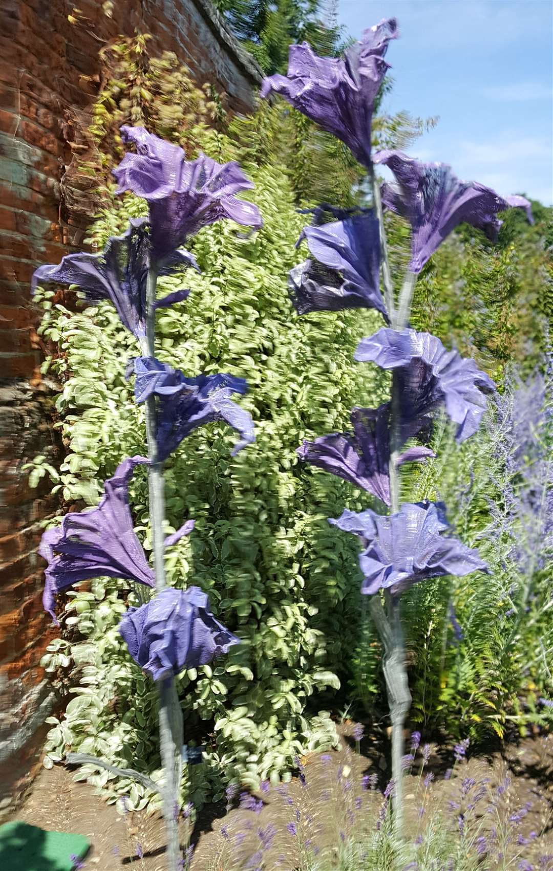 Purple Flora by Carole Andrews