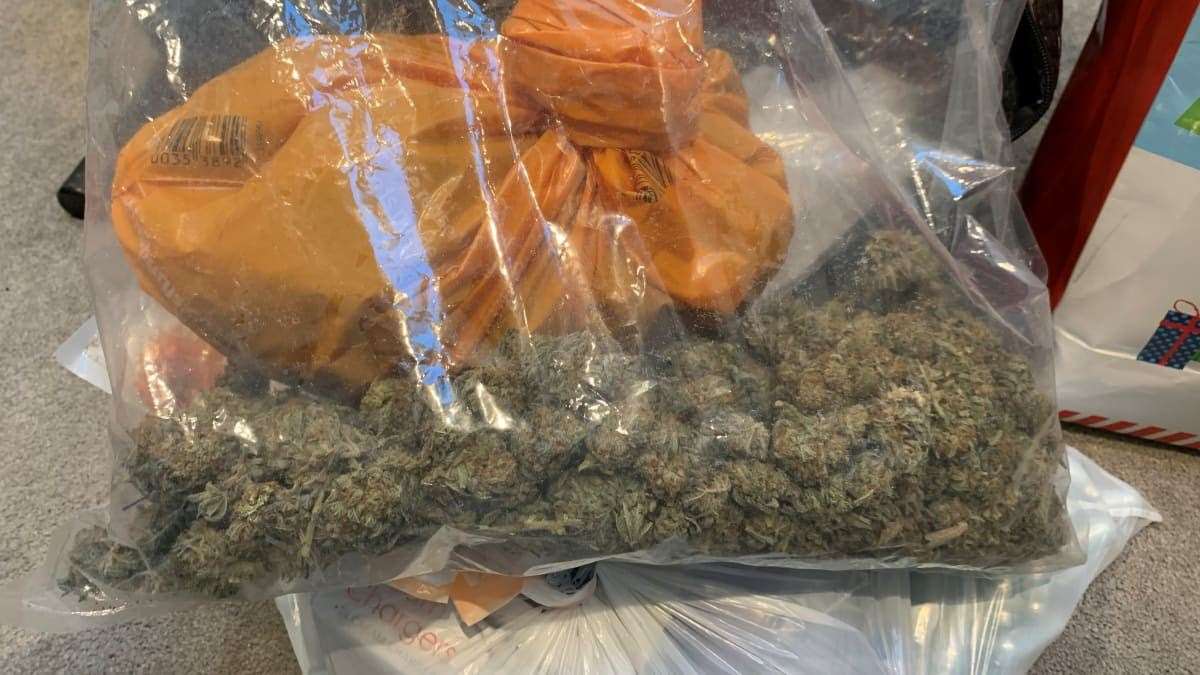 Cannabis recovered during the raids, which included one in Dartford. Picture: Met Police