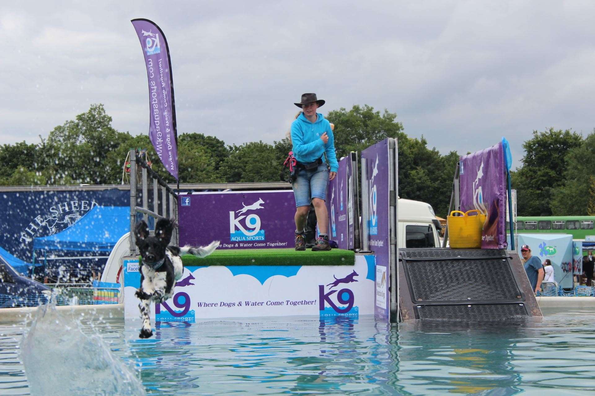 Diving dogs from K9 Aqua Sports were popular with the crowds at the Kent County Show (13545711)
