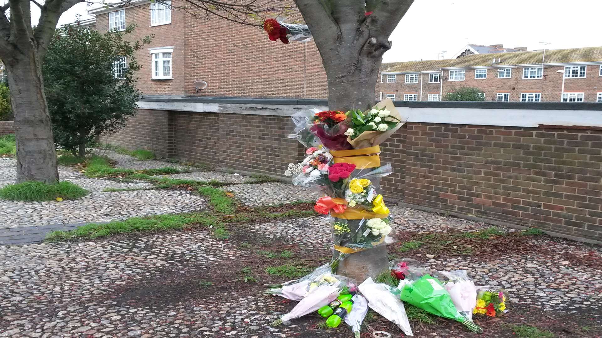 Floral tributes have been left at the crash site