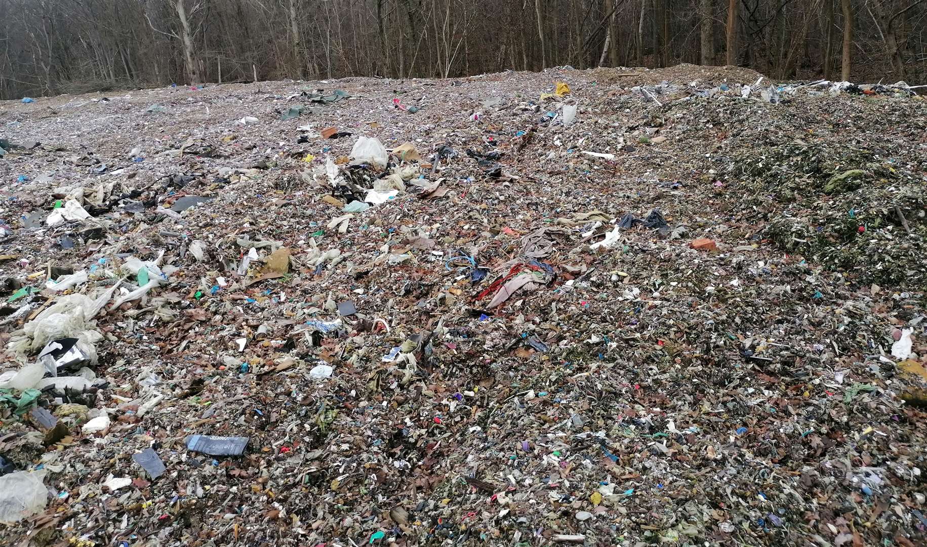 Rubbish is piled 12ft high across acres of Hoad’s Wood, near Ashford