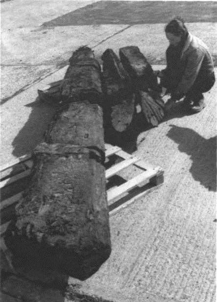 The ship's rudder and sternpost were excavated in 1999 Picture: S.Miller (Kent Archaelogy Report)