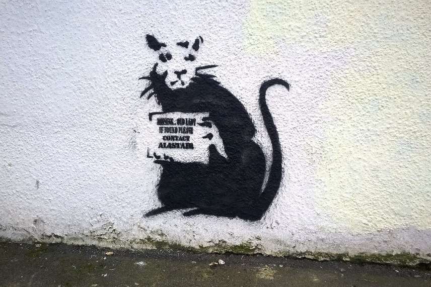 It has not yet been verified if the painting is a genuine Banksy. Picture: Sam Millen