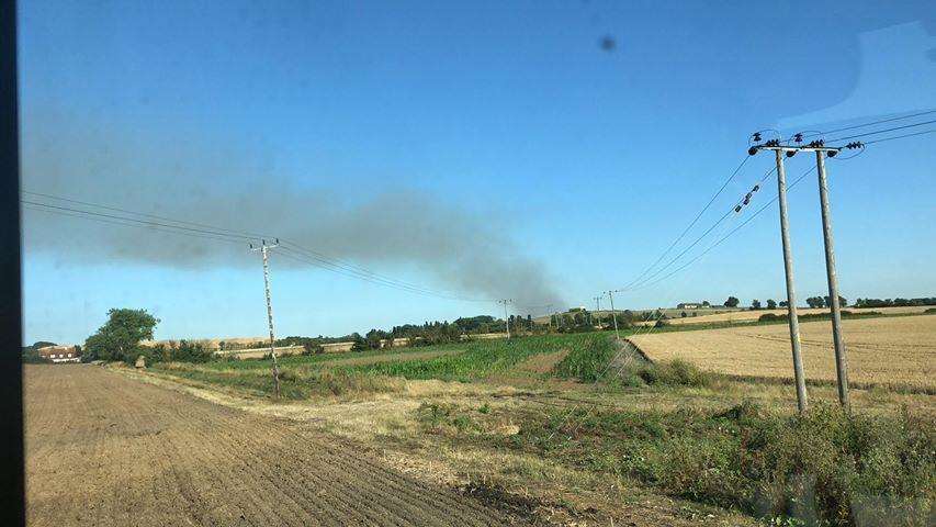 Fire crews were called to a field fire in Eastchurch