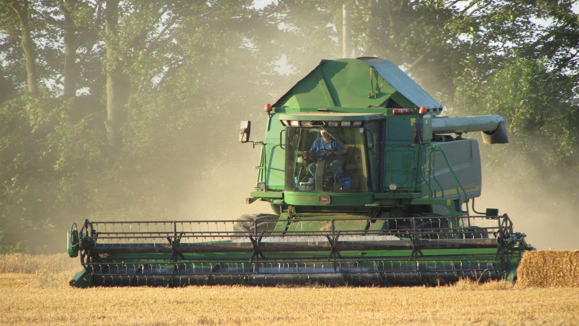 A combine harvester at work. Picture by Roger Sills.