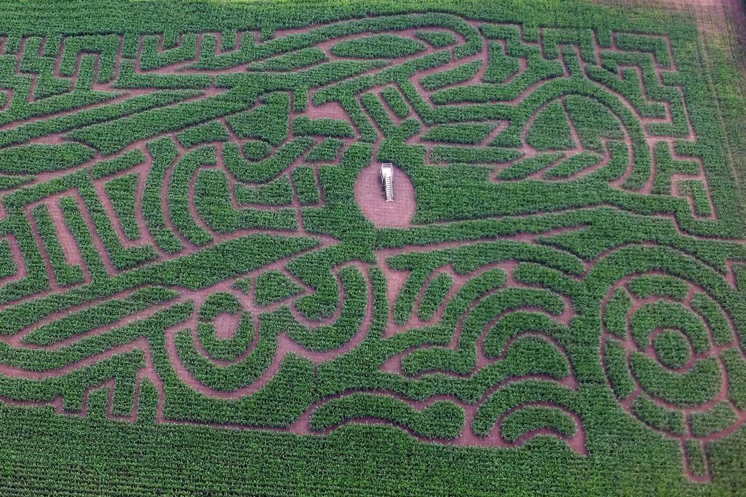A bird's eye view of this year's Penshurst maize maze