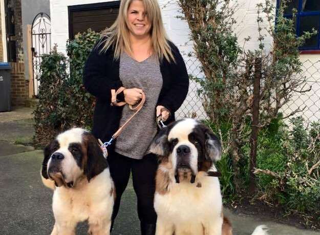 Eileen with St. Bernard's Boris and Petal. Petal is now ready to be rehomed.