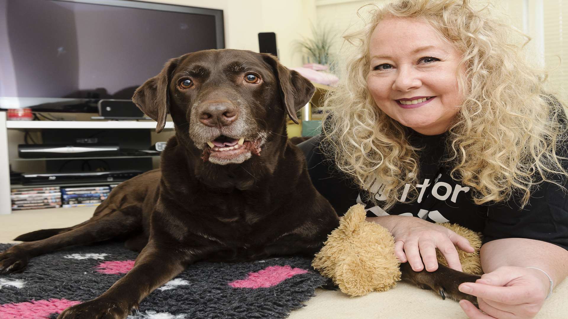Karen Sydee is doing a fundraising walk, hoping to pay for a KerDOG walker for her paralysed Labrador, Dave.