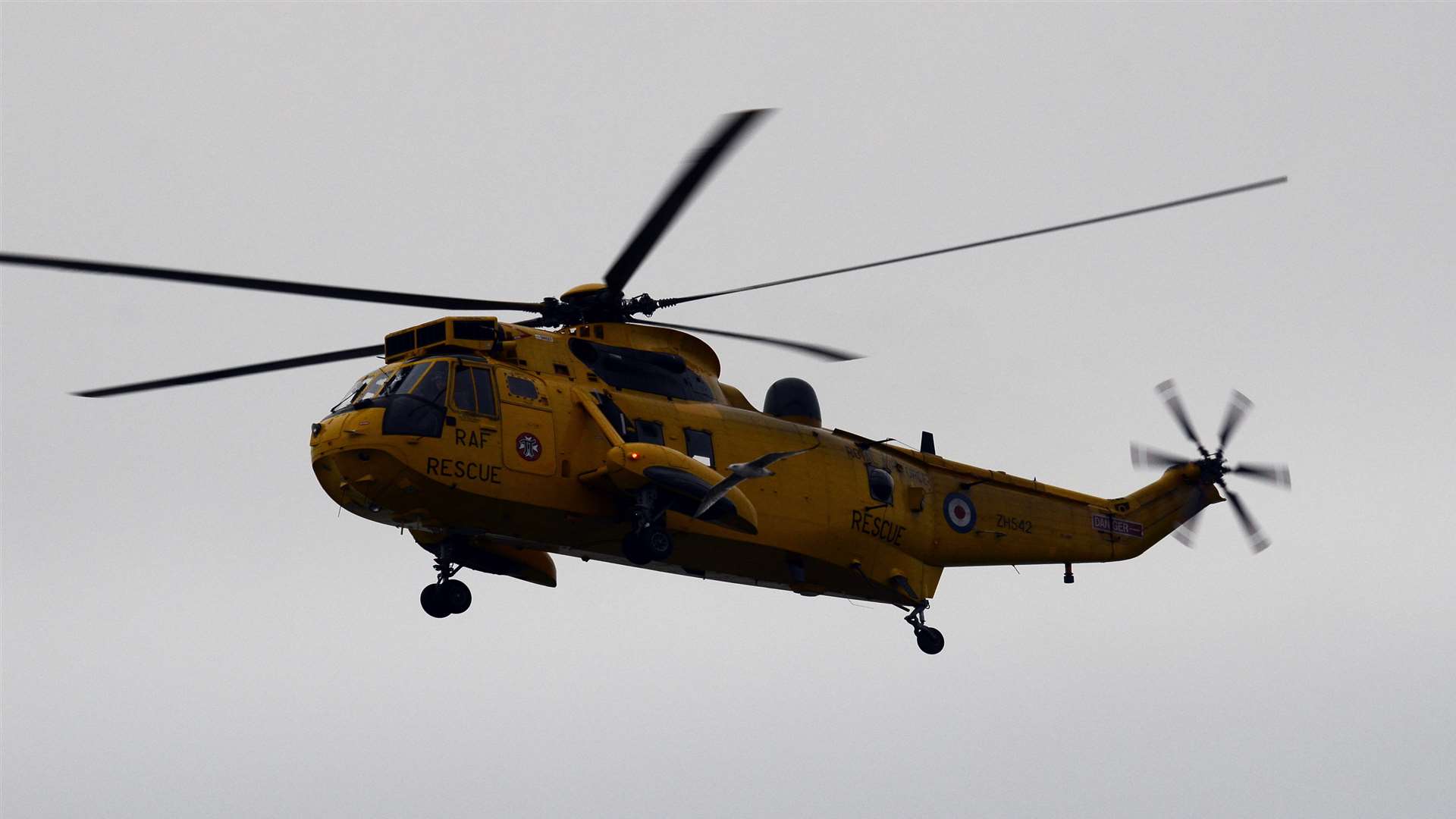 The RAF Sea King helicopter searching the coastline