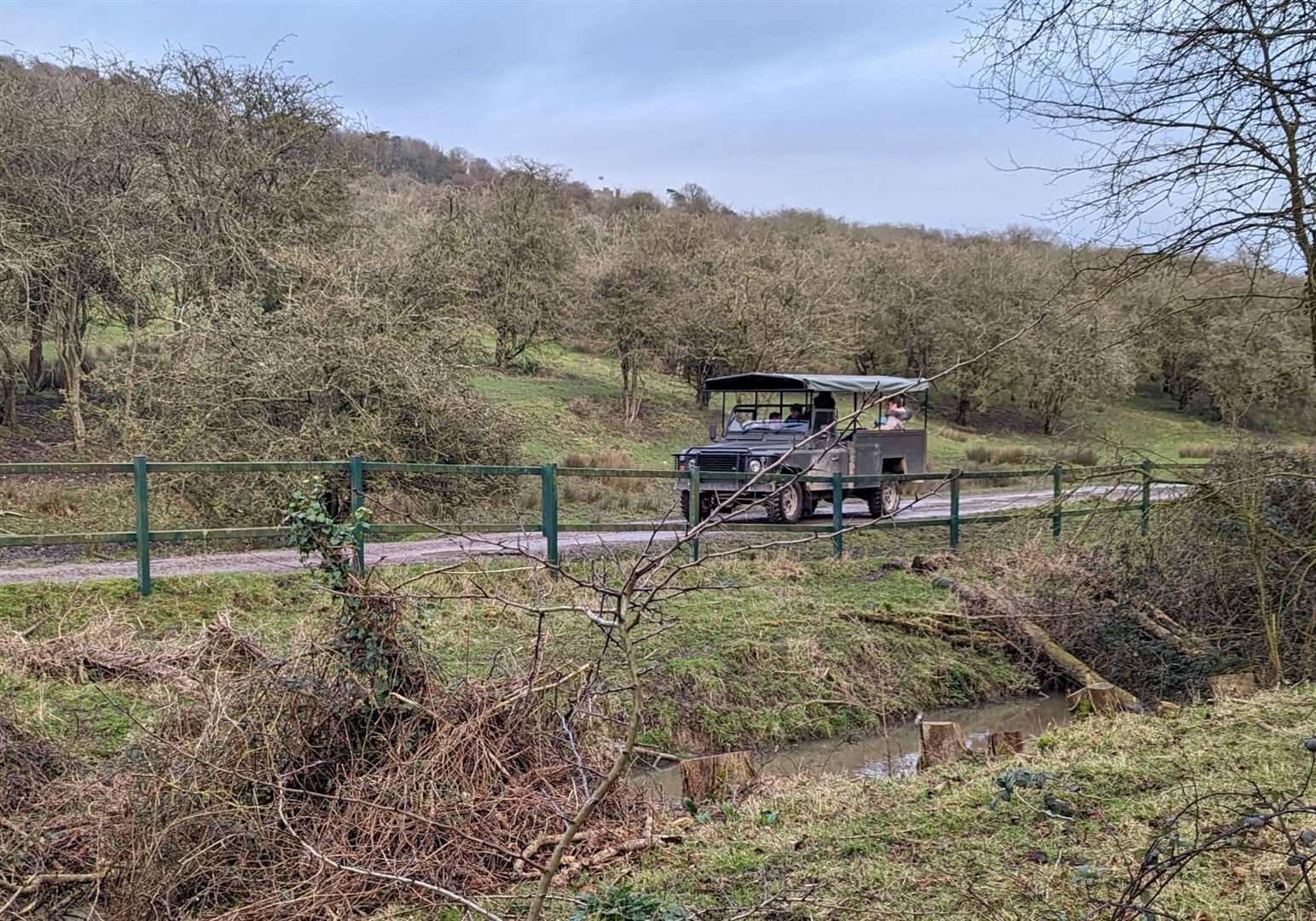 A safari jeep winds its way through Port Lympne Wild Animal Park