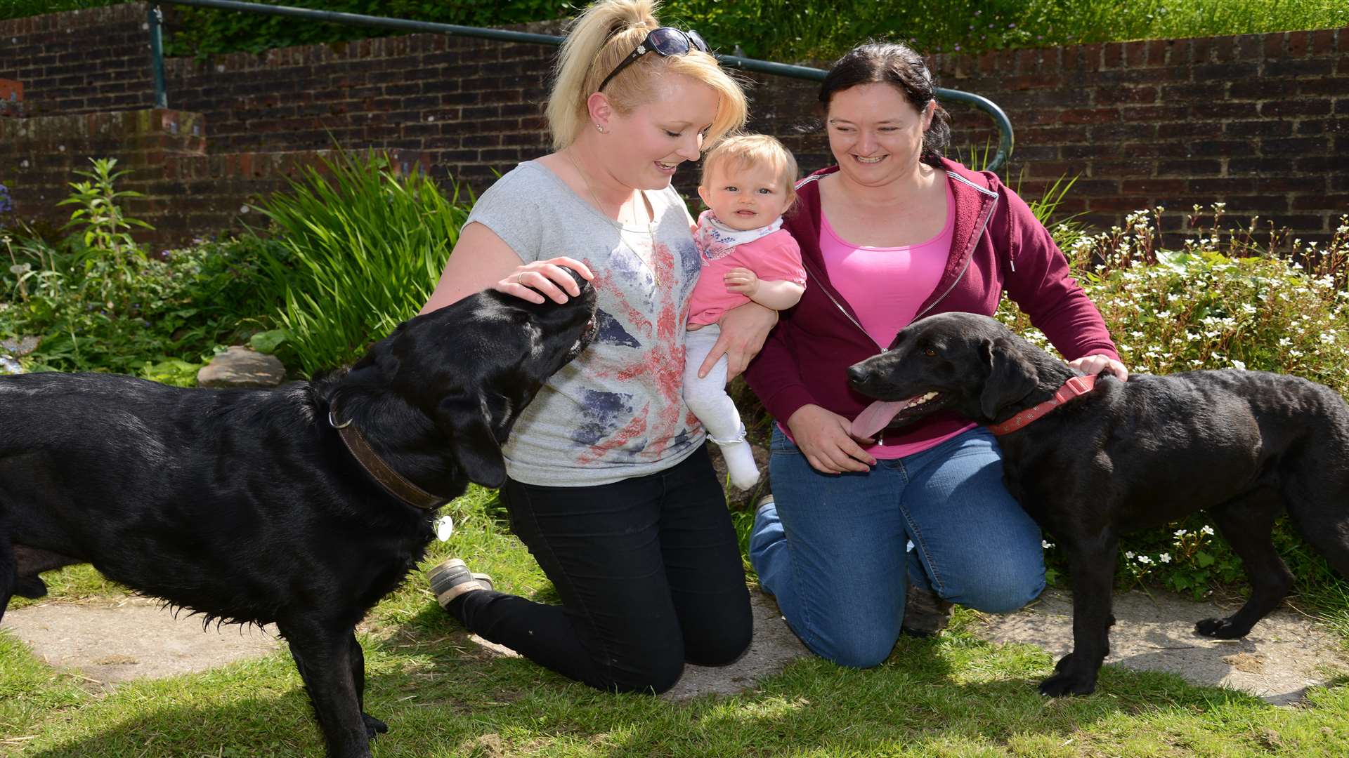 Stacey Gott with her dog Grace (Right) who gave a blood transfusion to save her friend Chloe Muir-Smith's dog Ace. Picture: Gary Browne