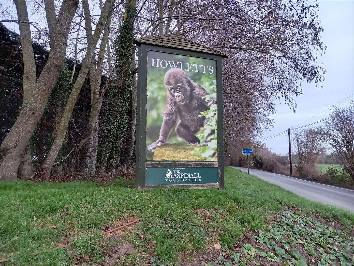 Howletts Wild Animal Park could eventually be reclassed as a rescue centre