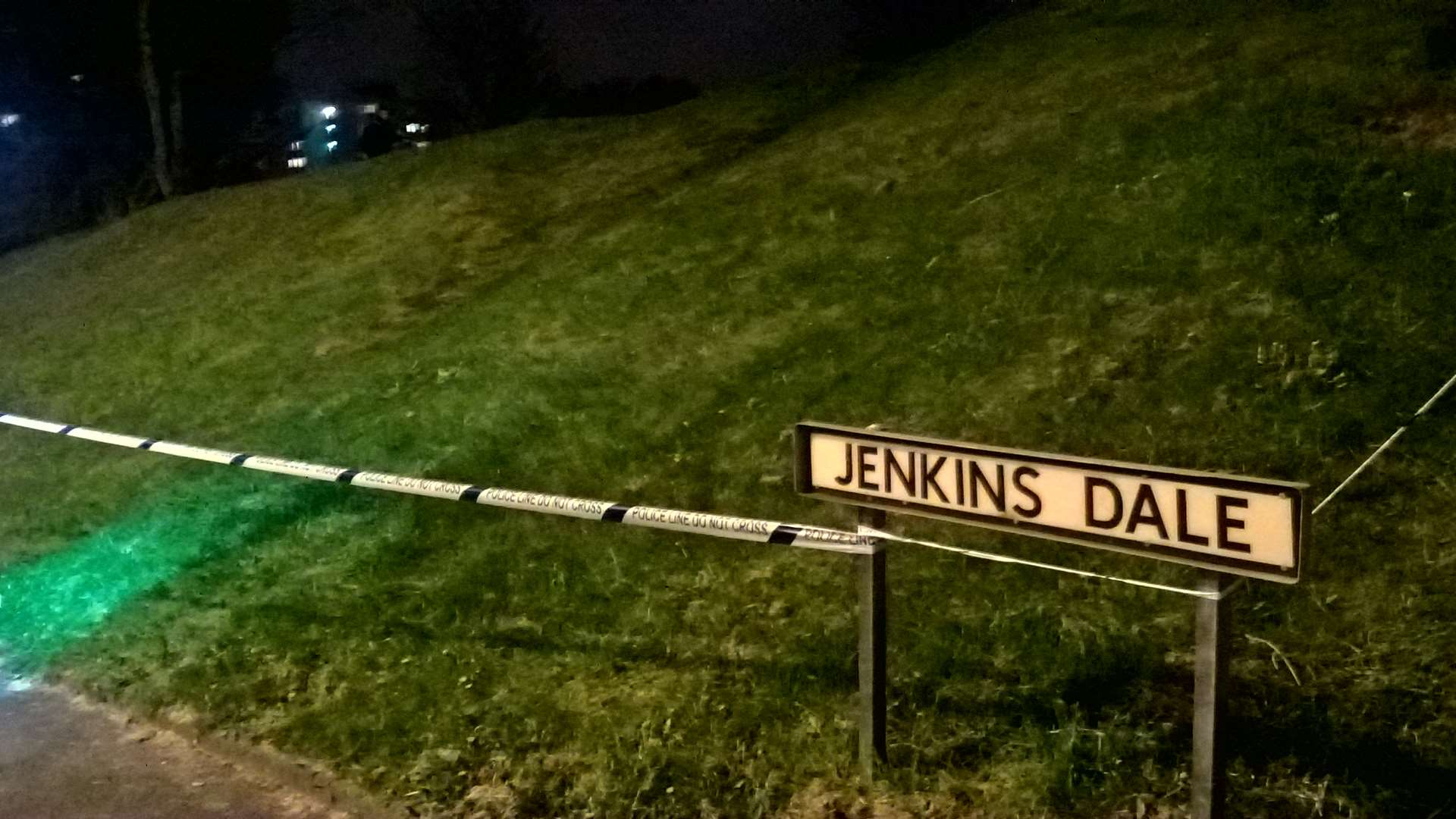 The attack took place in Jenkins Dale
