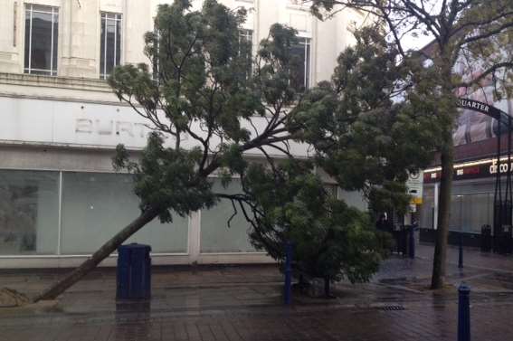A tree falls close to shops in Gravesend town centre