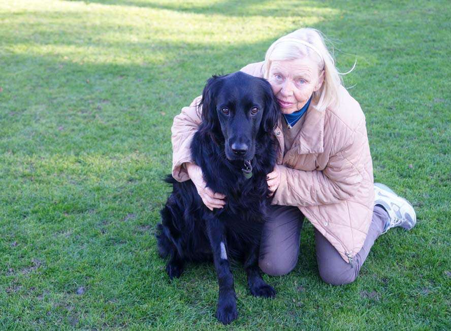 Jean Watterson with flat-coated retriever Vulcan who was poisoned after eating palm oil