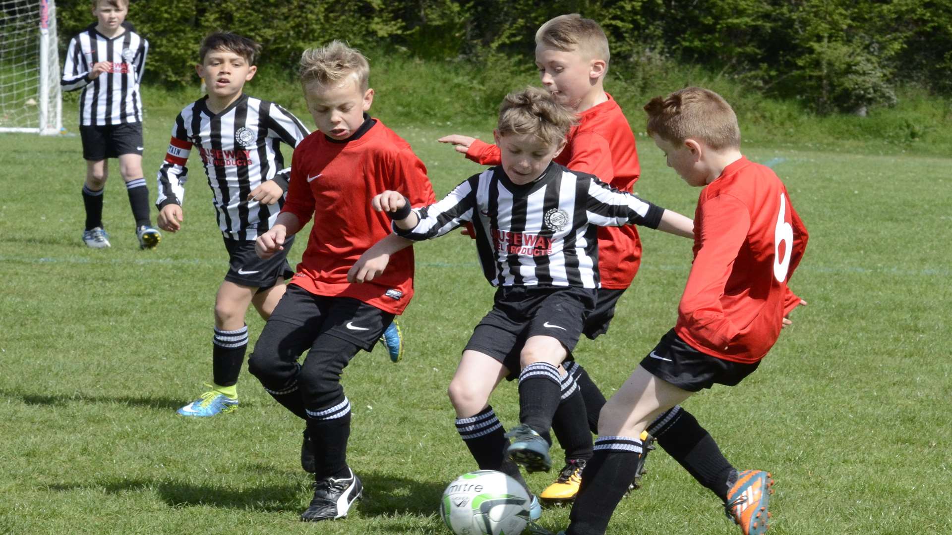 Real 60 Pumas and Real 60 Lions (stripes) battle it in the Under-10 Championship final Picture: Chris Davey