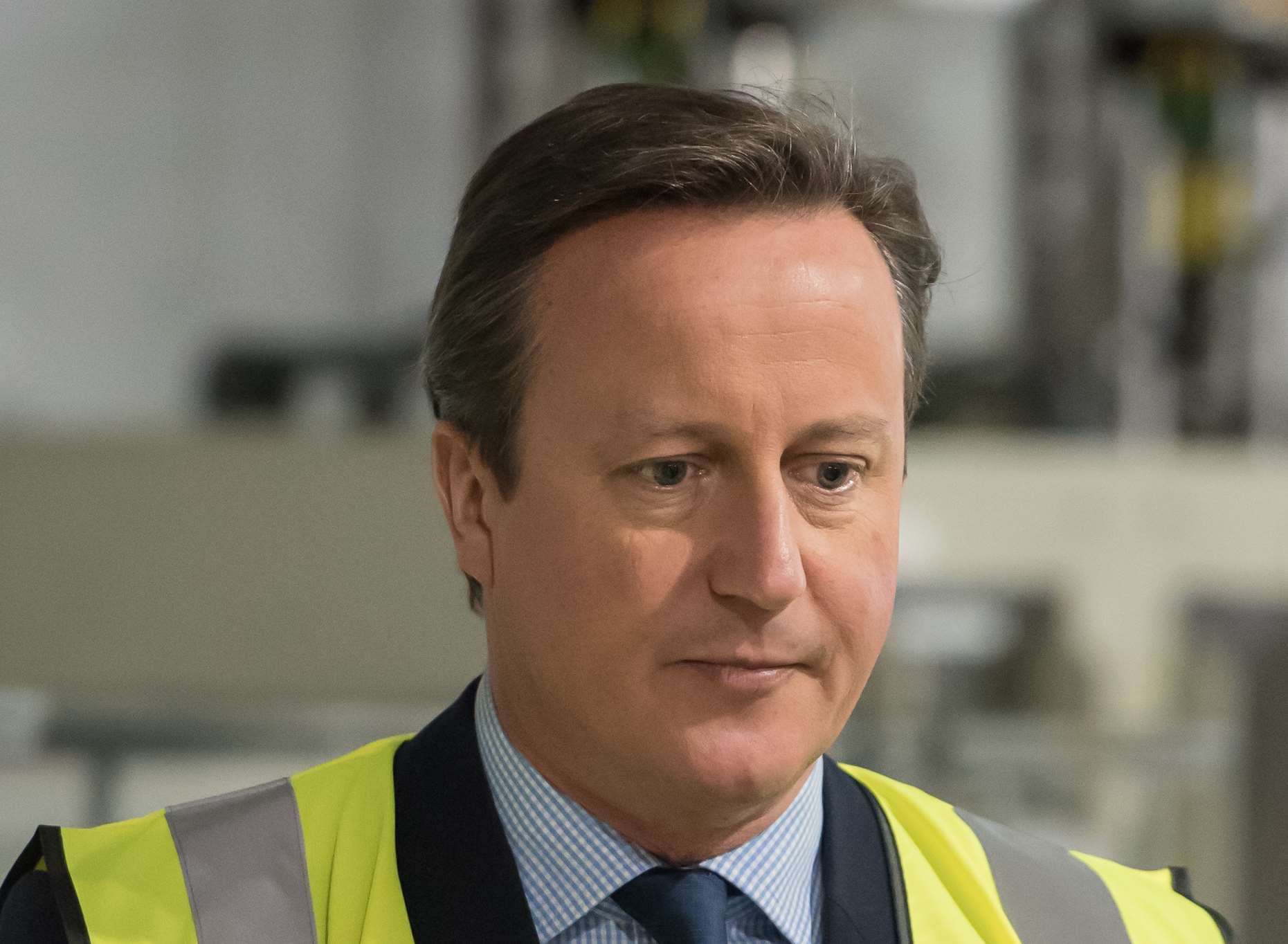 Prime Minister David Cameron is leading the Remain camp