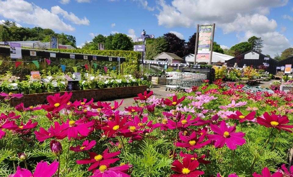 Coolings Garden Centre is open between 9am and 5:30pm from Mondays to Saturdays and 9am to 4:30pm on Sundays.
