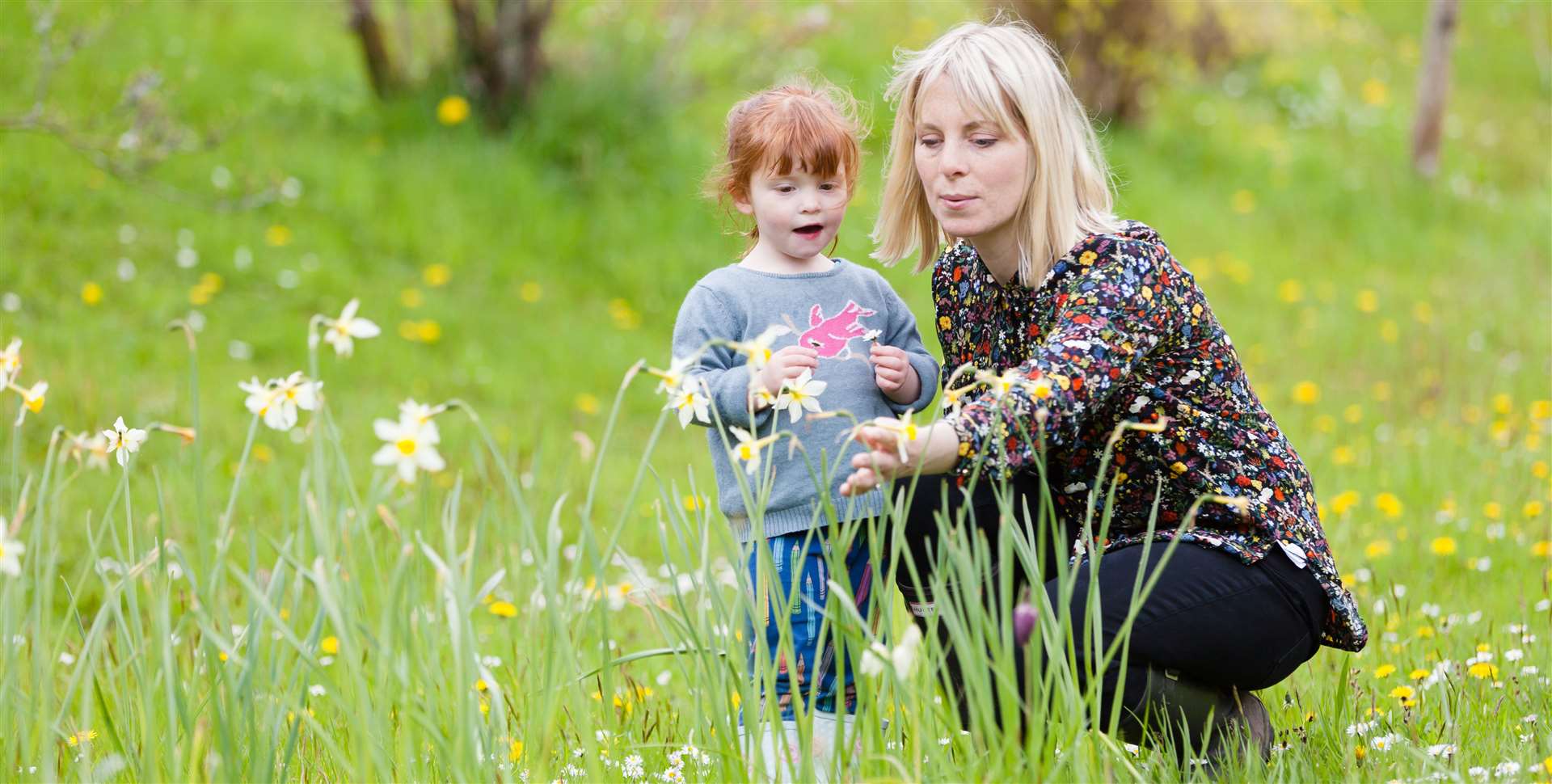 The Cadbury Easter egg hunts with the National Trust will be back Picture: Megan Taylor