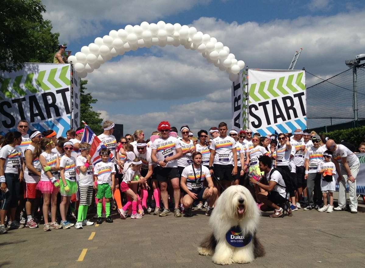 Spud at the start line of the Colour Run