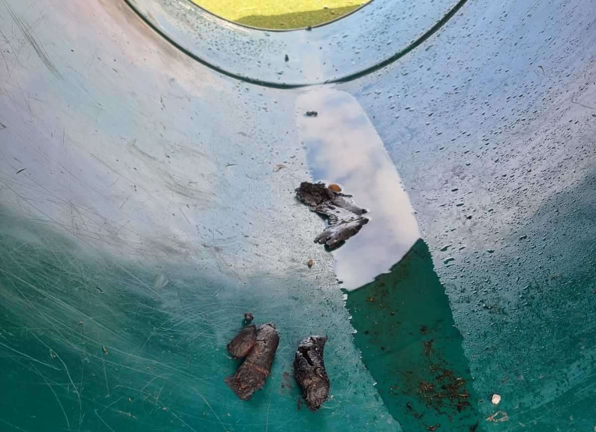 Human waste was left behind on the children's play equipment. Photo: DB Environmental