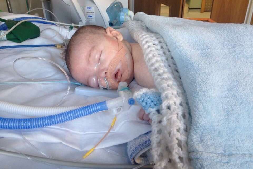 Freddie became ill at Christmas 2014
