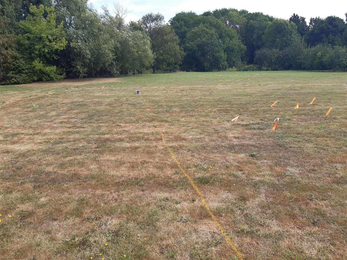The field in Yalding where a V2 rocket landed in 1944. The flags set out the lines of a planned archaeological dig by Research Resource Archaeology (58417980)