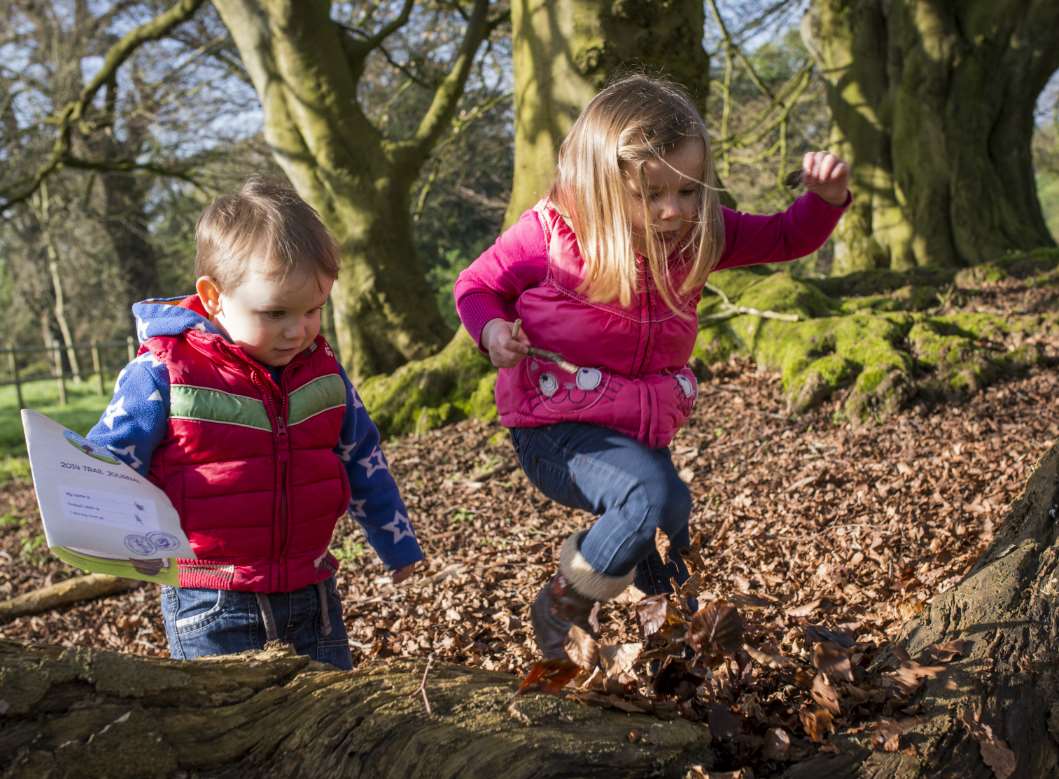 An outdoor trail at half term Picture: National Trust