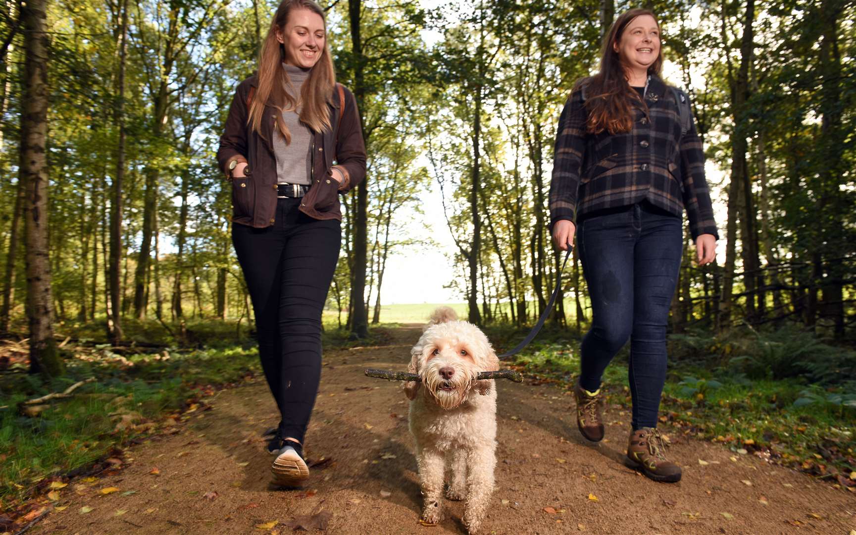 Visitors walking their dog in National Trust parkland Picture: John Millar/National Trust