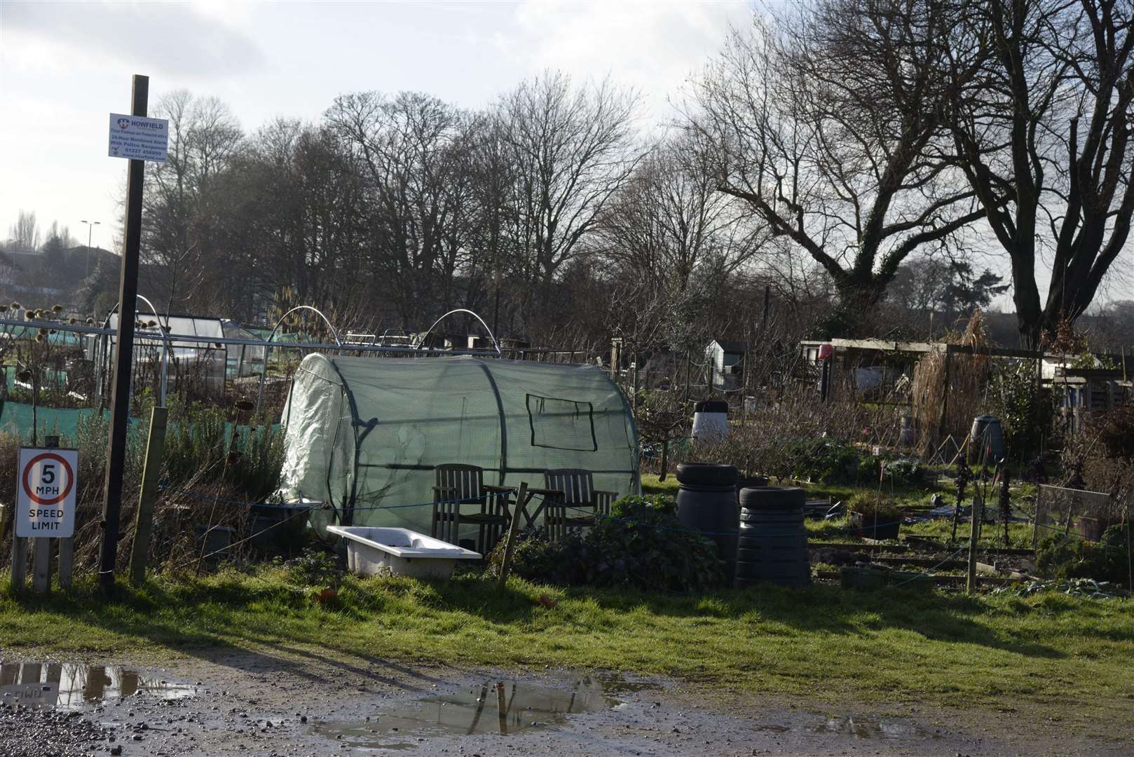 The Victoria Park allotments are in the centre of a row between owners