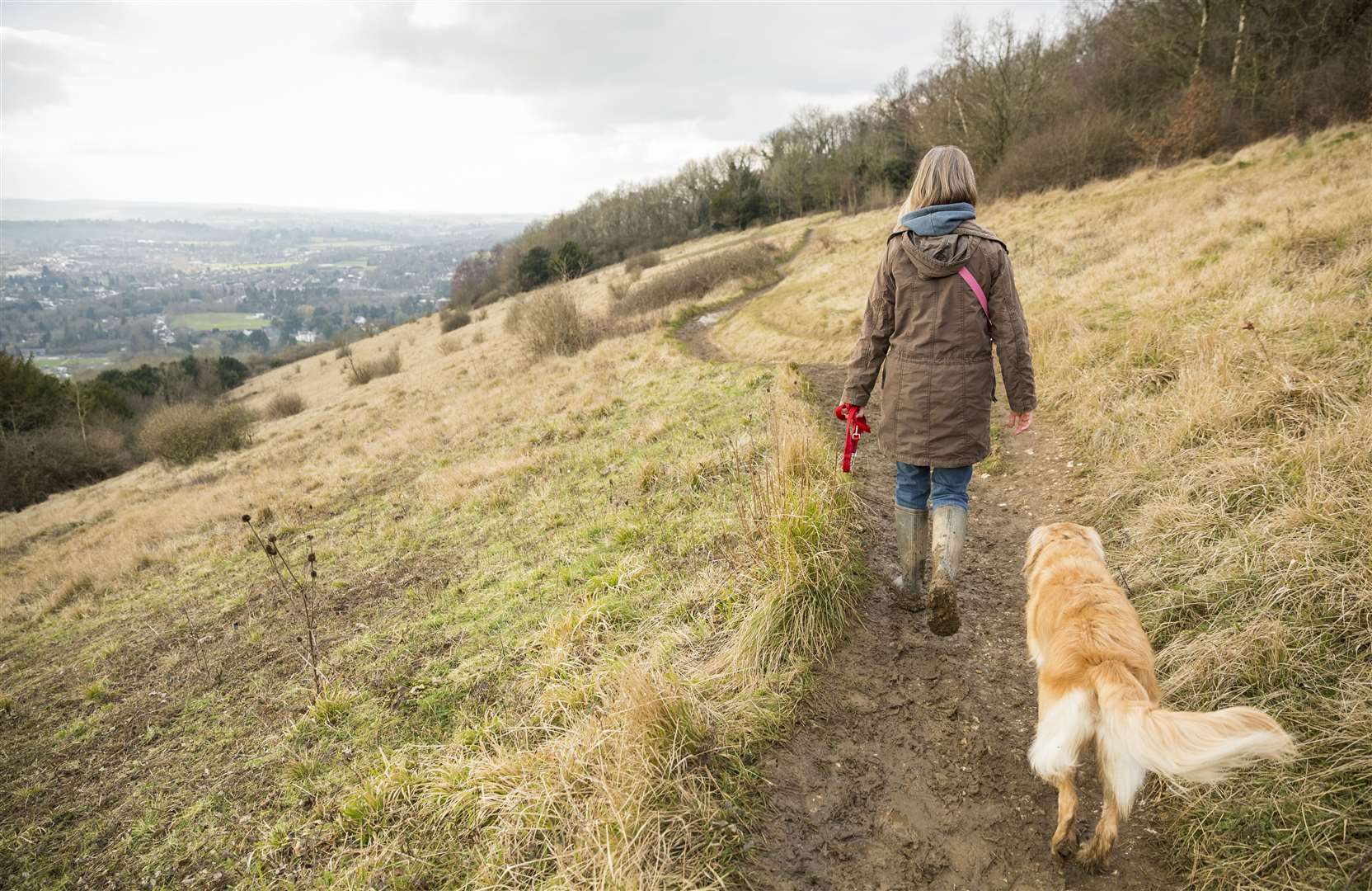 There are lots of picture perfect places to work your dog in Kent Picture: National Trust/James Dobson
