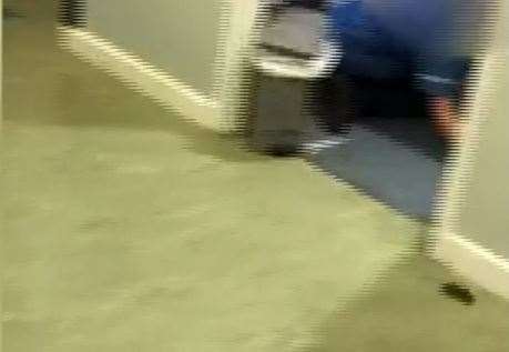 A mouse was spotted in Darent Valley Hospital last month